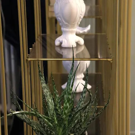 Brand New Design Flat Casa Belli Appartement Alba (Piedmont)